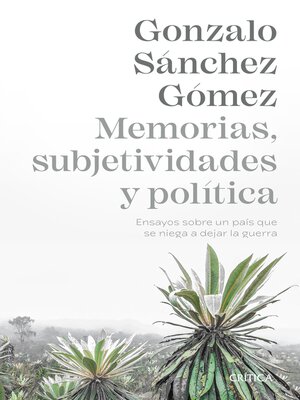 Memorias, subjetividades y política - ebook